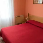 Primavera 2*