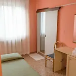 Primavera 2*